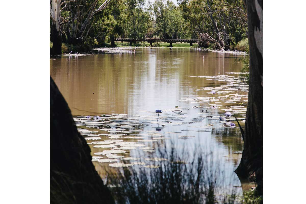 brigalow creek