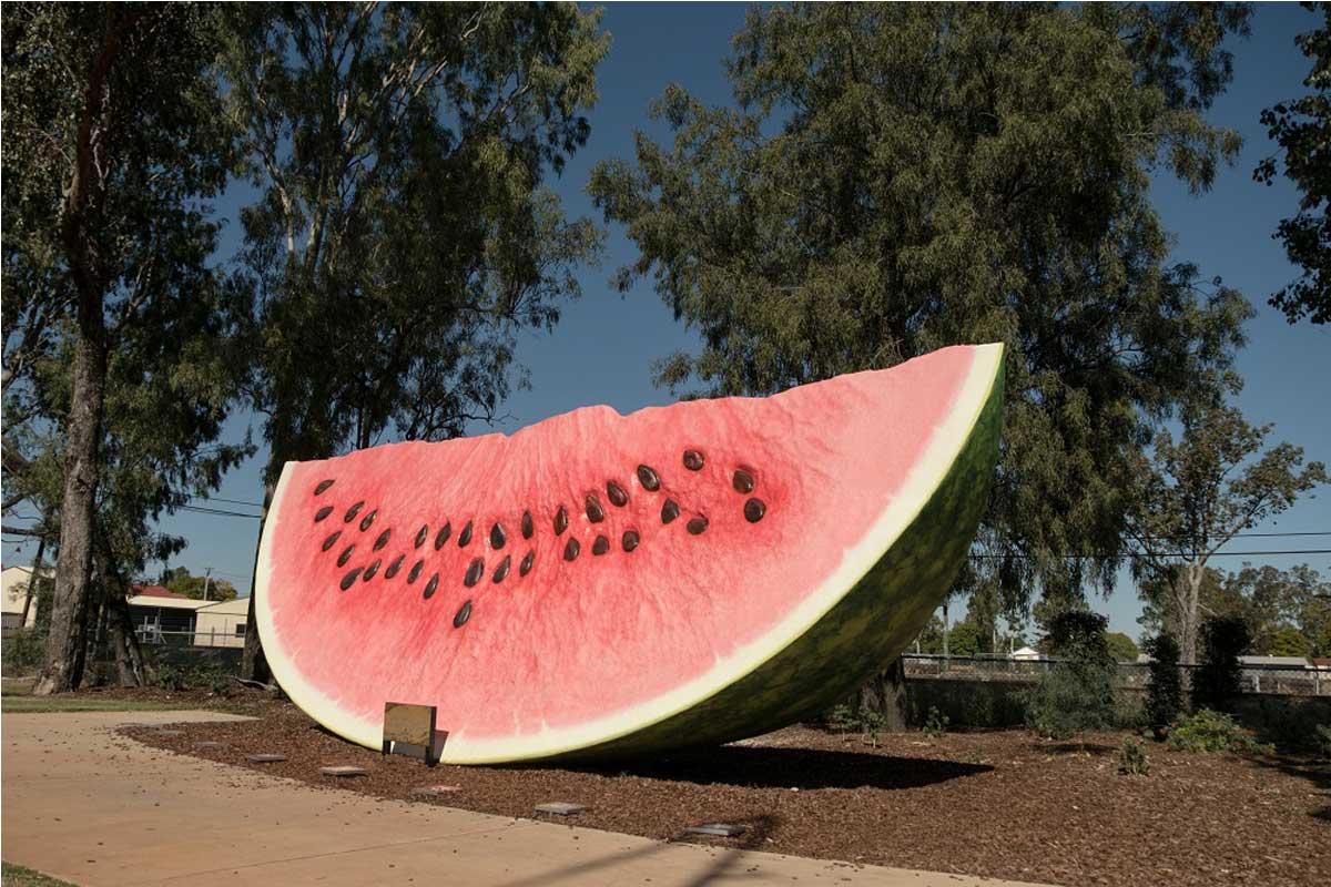 chinchilla watermelon public art