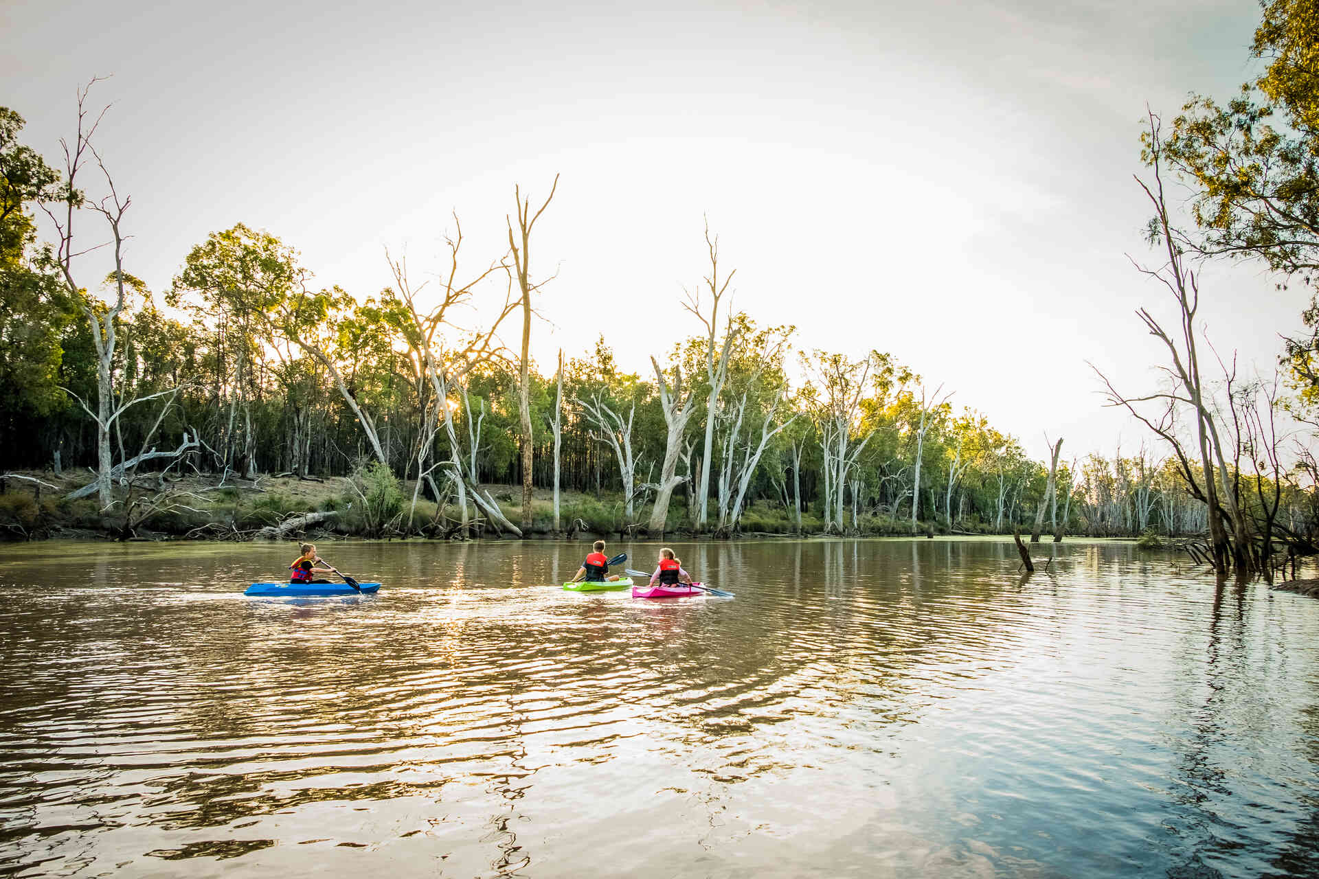 western downs tourism