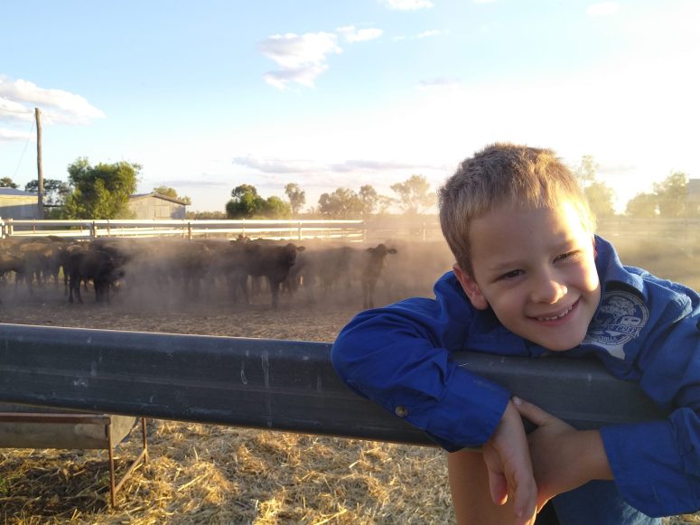 Young boy on fence big smile with cattle in background