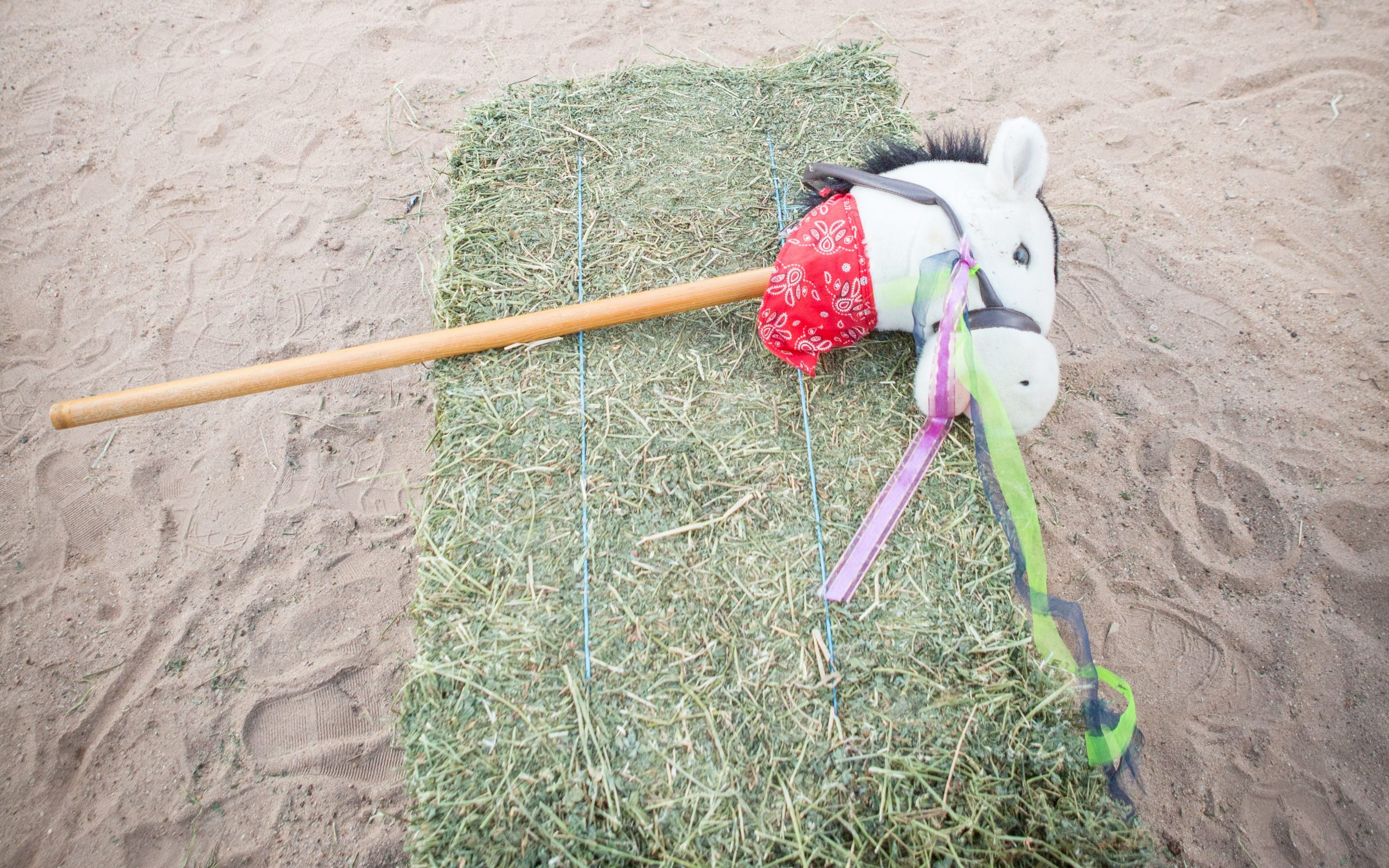A hobby horse is leaning on a square bale of hay