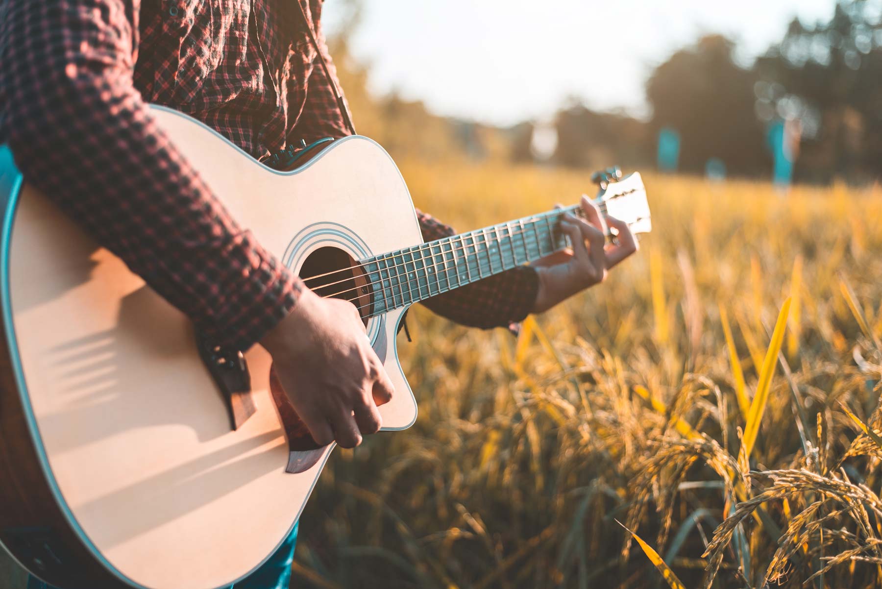 Guitar in field